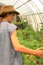 Watch Green House Seeds Strain Hunters India Expedition zumvo