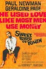 Watch Sweet Bird of Youth zumvo