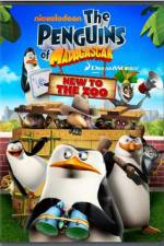 Watch Penguins of Madagascar New to the Zoo zumvo