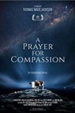 Watch A Prayer for Compassion zumvo