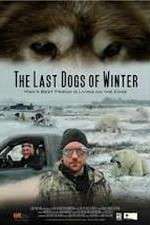 Watch The Last Dogs of Winter zumvo