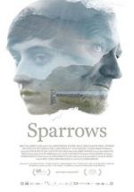 Watch Sparrows zumvo