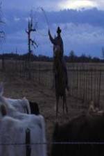 Watch Cowboy Christmas zumvo