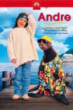 Watch Andre zumvo