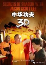 Watch Secrets of Shaolin with Jason Scott Lee zumvo