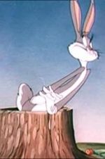 Watch The Unruly Hare zumvo