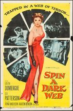 Watch Spin a Dark Web zumvo
