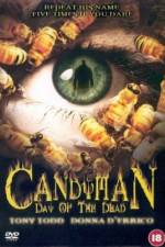 Watch Candyman: Day of the Dead zumvo