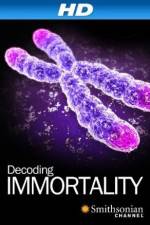 Watch Immortal zumvo