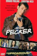 Watch Pecker zumvo