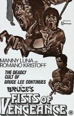 Watch Bruce\'s Fists of Vengeance zumvo