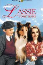 Watch Lassie Come Home zumvo