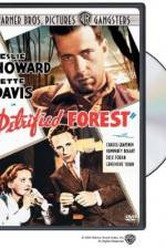 Watch The Petrified Forest zumvo
