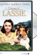 Watch Courage of Lassie zumvo
