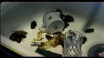 Watch Coup de lune (TV Short 2000) zumvo