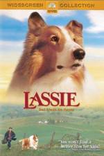 Watch Lassie zumvo