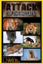 Watch National Geographic Attack Of The Big Cats zumvo