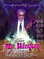 Watch The Mysterious Mr. Wizdom zumvo