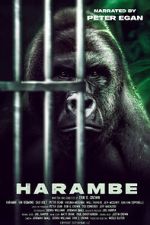 Watch Harambe zumvo