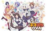 Watch Nekopara zumvo