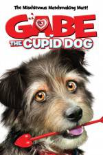 Watch Gabe the Cupid Dog zumvo