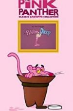Watch Pink Daddy zumvo