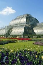 Watch Cruickshank on Kew: The Garden That Changed the World zumvo