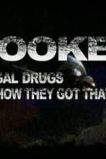 Watch Hooked: Illegal Drugs & How They Got That Way - LSD - Ecstacy and the Raves zumvo