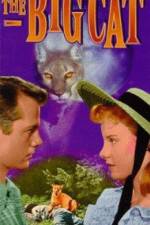 Watch The Big Cat zumvo
