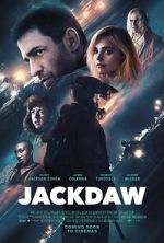 Watch Jackdaw zumvo