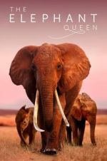 Watch The Elephant Queen zumvo