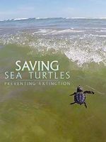 Watch Saving Sea Turtles: Preventing Extinction zumvo