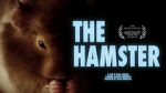 Watch The Hamster zumvo