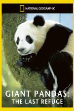 Watch National Geographic Giant Pandas The Last Refuge zumvo