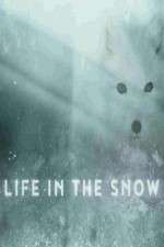 Watch Life in the Snow zumvo