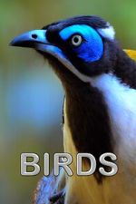 Watch Birds (Short 2021) zumvo