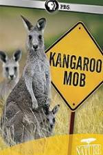 Watch Kangaroo Mob zumvo