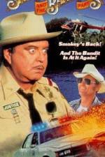 Watch Smokey and the Bandit Part 3 zumvo