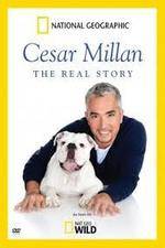 Watch Cesar Millan: The Real Story zumvo