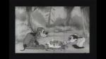 Watch Bosko\'s Dog Race zumvo