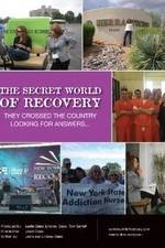Watch The Secret World of Recovery zumvo