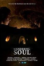 Watch Wandering Soul zumvo