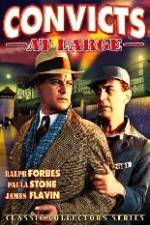 Watch Convicts at Large zumvo