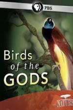 Watch Birds Of The Gods zumvo
