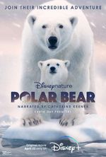Watch Polar Bear zumvo