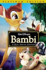 Watch Bambi zumvo