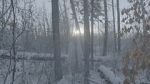 Watch Once There Was a Winter zumvo