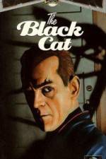 Watch The Black Cat zumvo