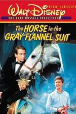 Watch The Horse in the Gray Flannel Suit zumvo