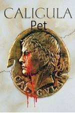Watch Caligula's Pet zumvo